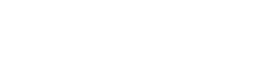 flowForce max logo